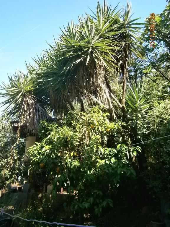 Albergo Il Cantuccio Bolano Ngoại thất bức ảnh