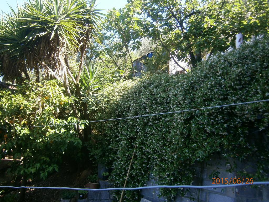 Albergo Il Cantuccio Bolano Ngoại thất bức ảnh